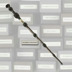 Professor Dumbledore's Wand